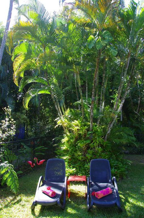 Pink Flamingo Resort - Sunshine Coast Tourism 3