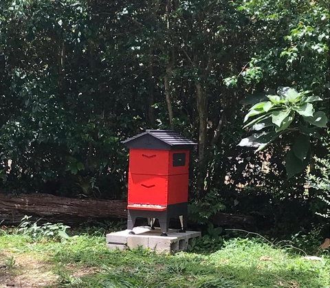 PK Illusions - Sunshine Coast Tourism 3