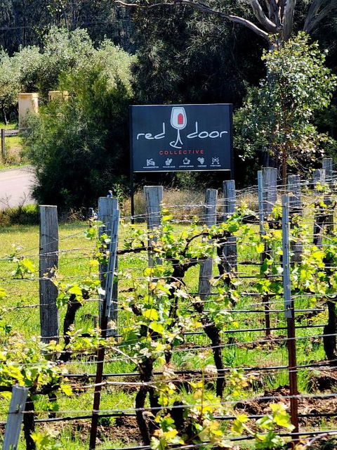 Red Door Collective - RDC Vineyard Estate, Luxury Adult Only Stay - Sunshine Coast Tourism 1