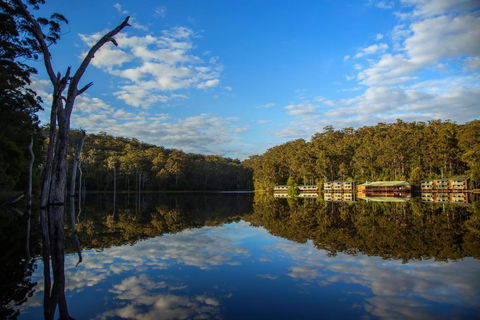 RAC Karri Valley Resort - Sunshine Coast Tourism 3