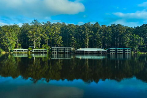 RAC Karri Valley Resort - Sunshine Coast Tourism 2
