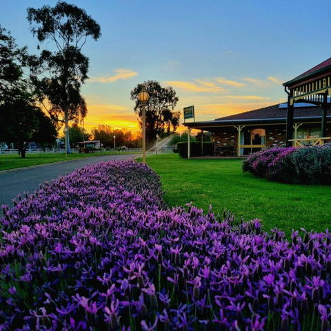 Quality Inn Carriage House - Sunshine Coast Tourism 1