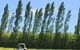 Quamby Estate - thumb 1