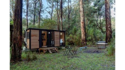Quantum Field By Tiny Away - Sunshine Coast Tourism 3