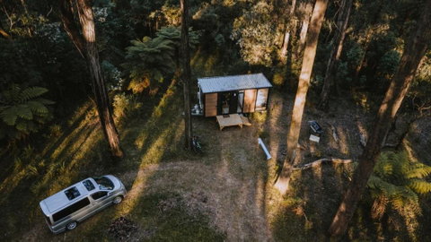 Quantum Field By Tiny Away - Sunshine Coast Tourism 0