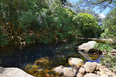Rainforest River Retreat Kangaroo Valley - Sunshine Coast Tourism 1
