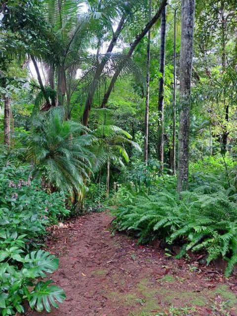 Rainforest Retreat-Fireplace-BBQ-3 Acres- - Sunshine Coast Tourism 0