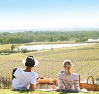 Audrey Wilkinson Vineyard - Holiday Sunshine Coast