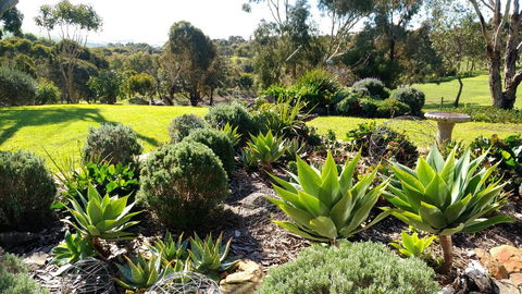 Austiny Bed And Breakfast Victor Harbor - Holiday Sunshine Coast 2