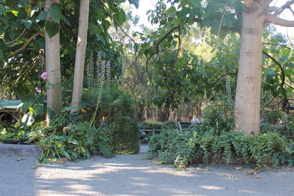 Avonsleigh VIC Holiday Sunshine Coast