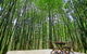Azabu Boutique Accommodation - thumb 1
