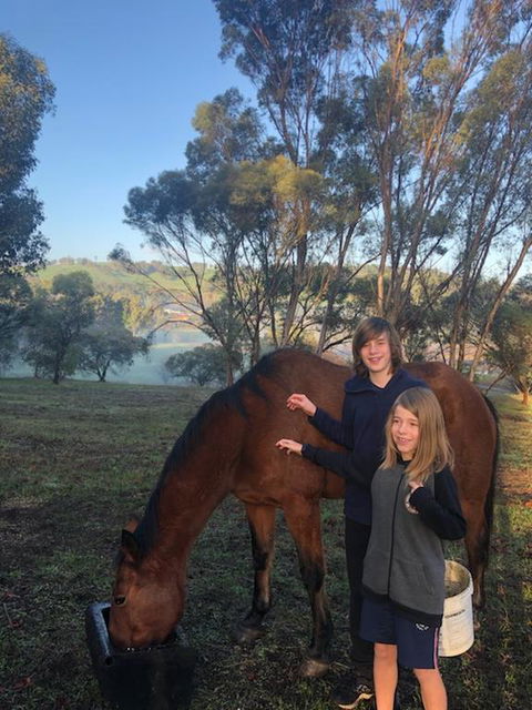 Balinga Cottages - Sunshine Coast Tourism 3