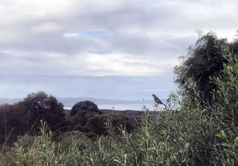 Banksia @ Cosy Corner - Sunshine Coast Tourism 1