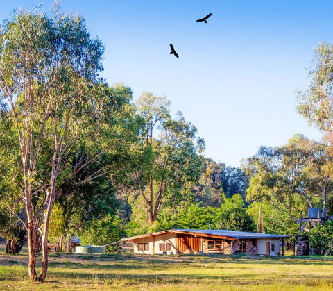 Barkala Farmstay - Holiday Sunshine Coast 2