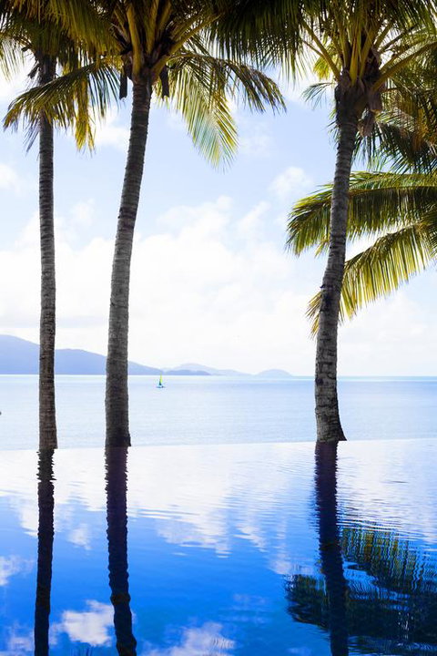 Beach Club - Sunshine Coast Tourism 3