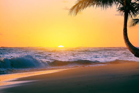 Beach House Apartment 1 - Sunshine Coast Tourism 1