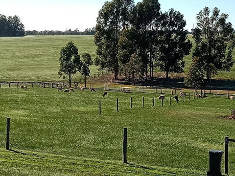 Redtail Ridge Cottages - Sunshine Coast Tourism 1