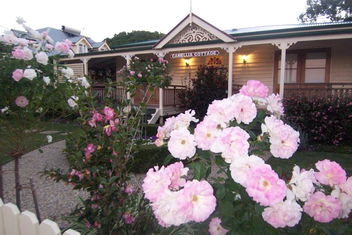 Reid\'s Place with Sunshine Coast Tourism