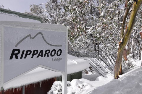 Ripparoo Lodge - Sunshine Coast Tourism 0