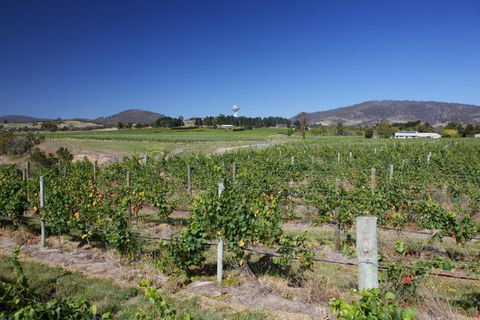 Riversdale Estate Cottages - Sunshine Coast Tourism 1