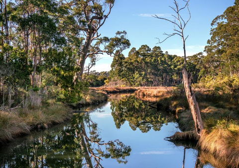 Saintys Creek Cottage - Holiday Sunshine Coast 3