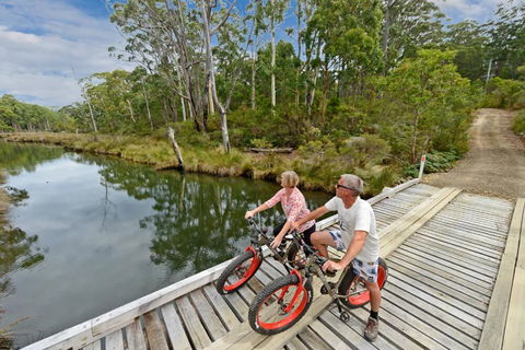 Saintys Creek Cottage - Holiday Sunshine Coast 2