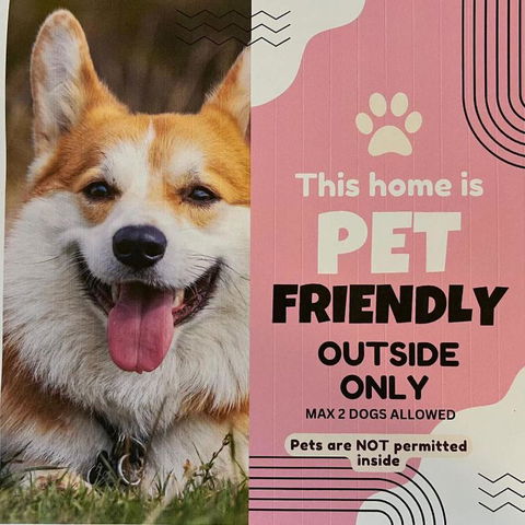 Salt Life - Pet Friendly Outside WIFI - Sunshine Coast Tourism 1