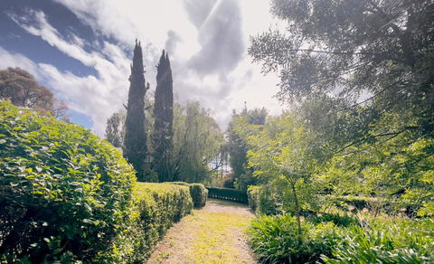 Sanctuary Park Cottages - Sunshine Coast Tourism 1