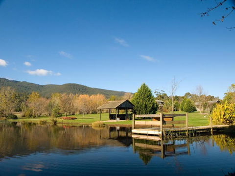 Sanctuary Park Cottages - Sunshine Coast Tourism 0