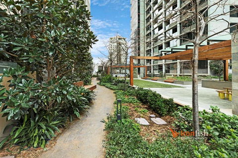 Sakura Apartment - Sunshine Coast Tourism 3