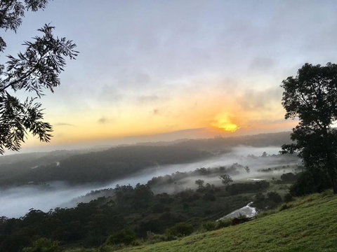 Scandinavian Cabin - Maleny - One Bedroom - Holiday Sunshine Coast 2