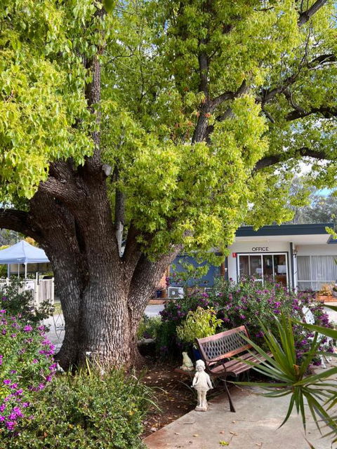Sturt Motel Balranald - Holiday Sunshine Coast 1