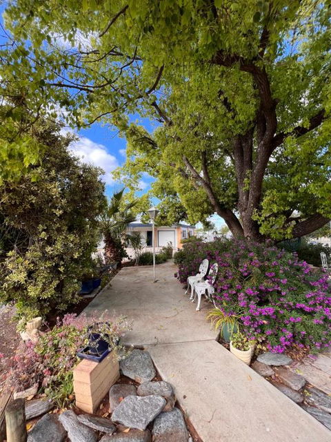 Sturt Motel Balranald - Holiday Sunshine Coast 2