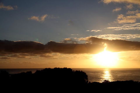 Beachside Entertainer - Sunshine Coast Tourism 0