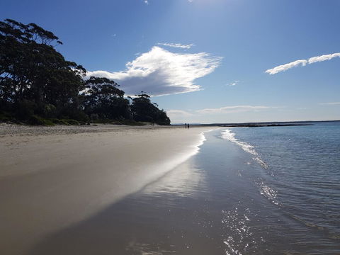 Beachside Husky - Waterfront - Sunshine Coast Tourism 2