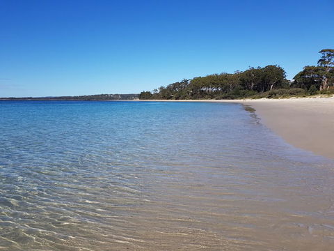 Beachside Husky - Waterfront - Sunshine Coast Tourism 1