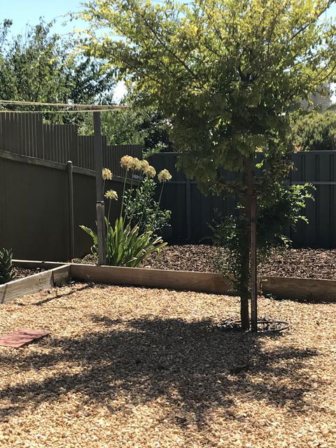 Beatty Cottage - Sunshine Coast Tourism 2