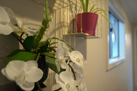 Beautiful House In Melbourne Southwest - Holiday Sunshine Coast 2