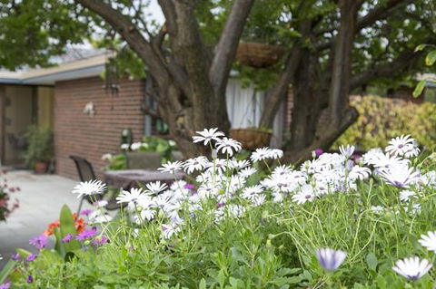 Bed And Breakfast In Perth - Holiday Sunshine Coast 1