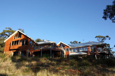 Bed In The Treetops B&B - Sunshine Coast Tourism 1