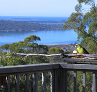 Bed in the Treetops BB - Holiday Sunshine Coast