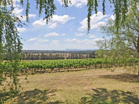 Beggars Bridge Vineyard Homestead W/ Pool + Wifi + Tennis + Vineyard - Holiday Sunshine Coast 3