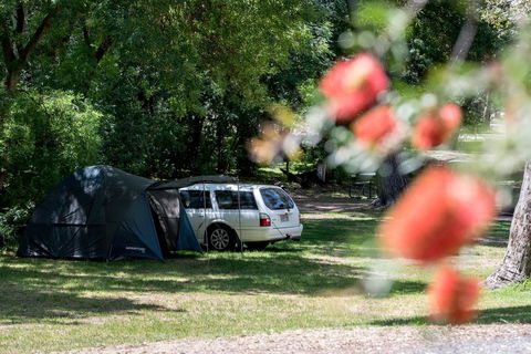 Belair National Park Holiday Park - Sunshine Coast Tourism 0
