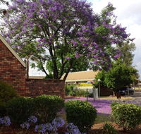 Belvoir Village Motel  Apartments Wodonga - Sunshine Coast Tourism