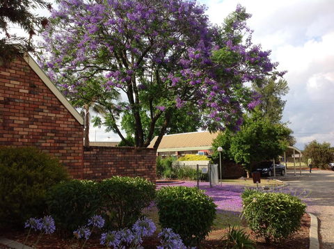Belvoir Village Motel & Apartments Wodonga - Sunshine Coast Tourism 0