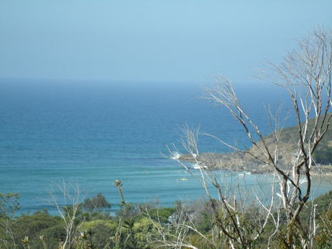 Benji's By The Sea - Sunshine Coast Tourism 0