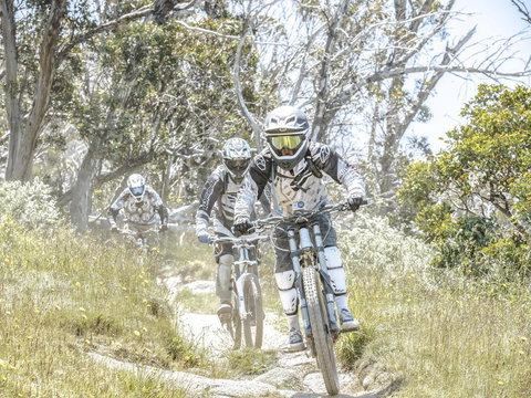 Bernti's Mountain Inn - Sunshine Coast Tourism 3