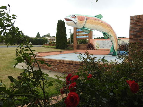 Big Trout Motel - Sunshine Coast Tourism 0
