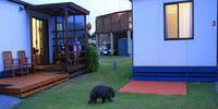 Book Kelso Accommodation Vacations Sunshine Coast Tourism Sunshine Coast Tourism