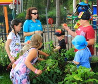 Book Lemon Tree Passage Accommodation Vacations Sunshine Coast Tourism Sunshine Coast Tourism